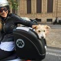 Baules para moto para llevar perro