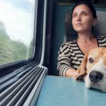 Los problemas que pueden encontrar los animales en el tren